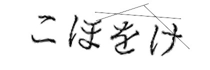 CAPTCHA画像