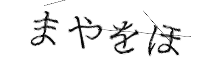 CAPTCHA画像