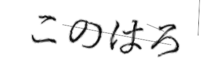 CAPTCHA画像