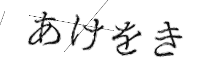 CAPTCHA画像