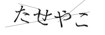 CAPTCHA画像