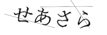 CAPTCHA画像
