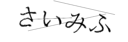 CAPTCHA画像