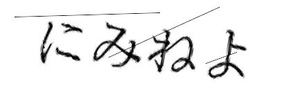 CAPTCHA画像