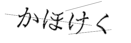 CAPTCHA画像