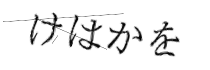 CAPTCHA画像