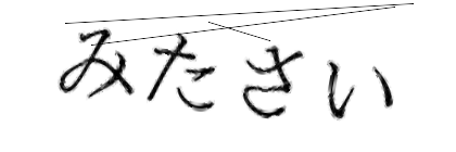 CAPTCHA画像