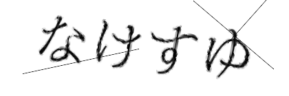 CAPTCHA画像