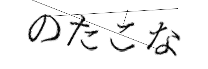 CAPTCHA画像