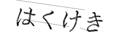 CAPTCHA画像