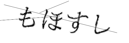 CAPTCHA画像