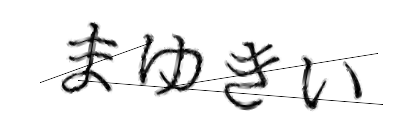 CAPTCHA画像