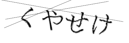 CAPTCHA画像