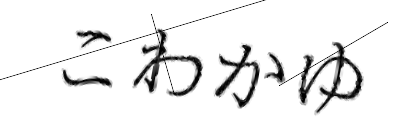 CAPTCHA画像
