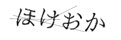 CAPTCHA画像