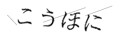 CAPTCHA画像