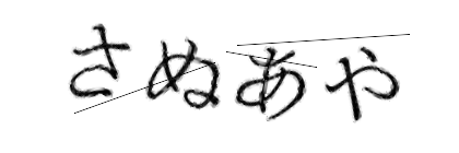 CAPTCHA画像