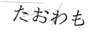 CAPTCHA画像