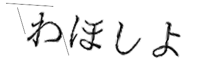 CAPTCHA画像