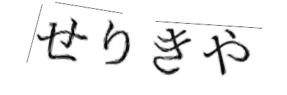 CAPTCHA画像