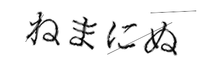 CAPTCHA画像