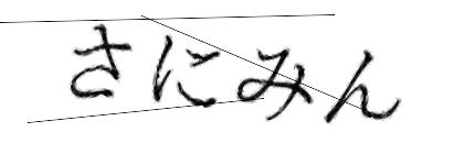 CAPTCHA画像