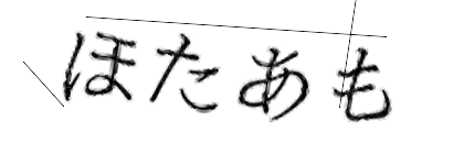 CAPTCHA画像