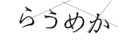 CAPTCHA画像