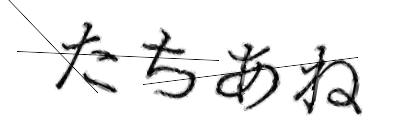 CAPTCHA画像