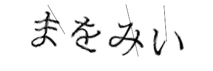 CAPTCHA画像