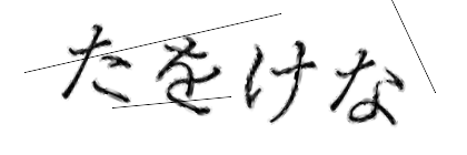 CAPTCHA画像