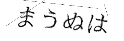 CAPTCHA画像