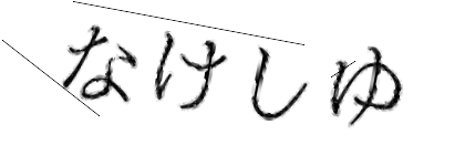 CAPTCHA画像