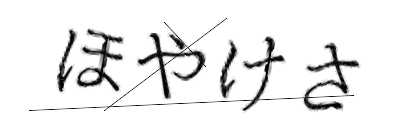 CAPTCHA画像