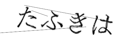 CAPTCHA画像
