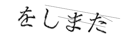 CAPTCHA画像