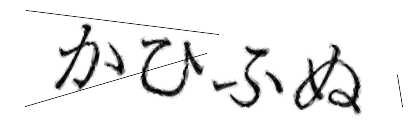 CAPTCHA画像