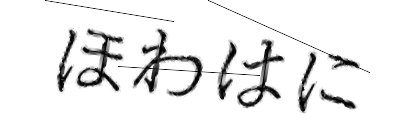 CAPTCHA画像