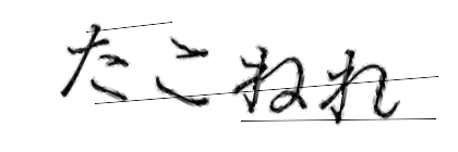 CAPTCHA画像