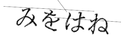 CAPTCHA画像