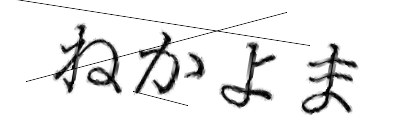 CAPTCHA画像