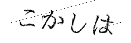 CAPTCHA画像