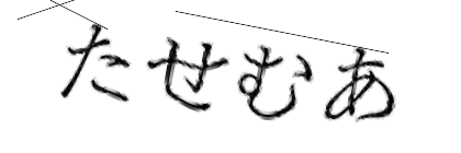 CAPTCHA画像