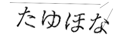CAPTCHA画像