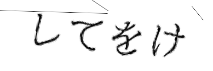 CAPTCHA画像