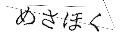 CAPTCHA画像