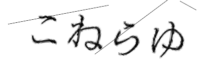 CAPTCHA画像