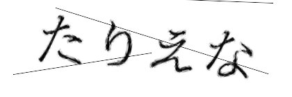 CAPTCHA画像