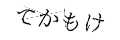 CAPTCHA画像