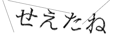 CAPTCHA画像